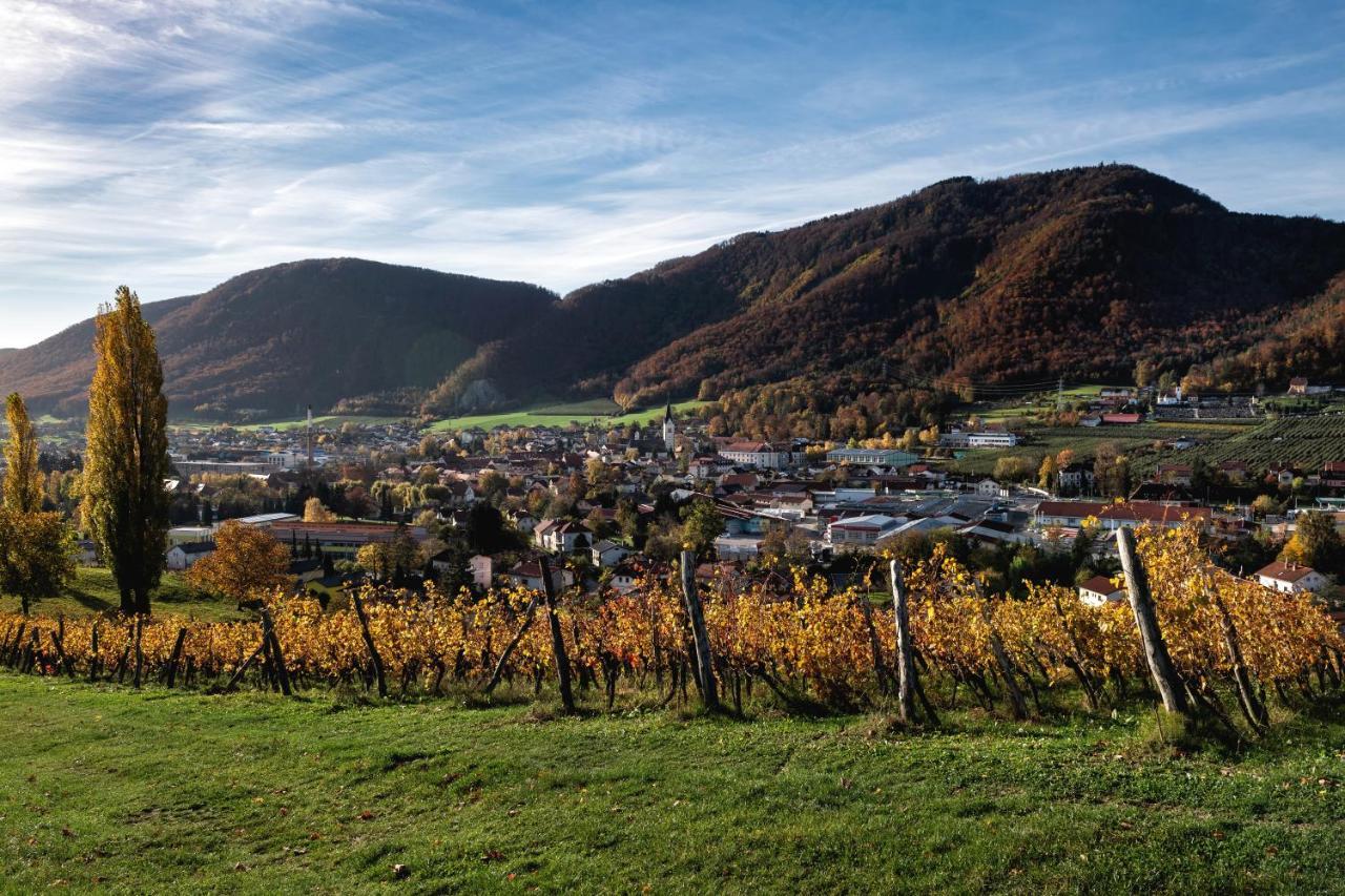 Dvorec Trebnik - Sobe Slovenske Konjice Luaran gambar