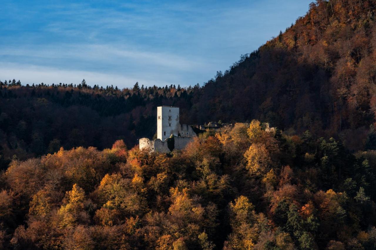 Dvorec Trebnik - Sobe Slovenske Konjice Luaran gambar